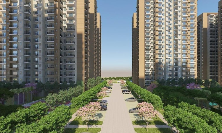 Wal Verde 92 - Image 2